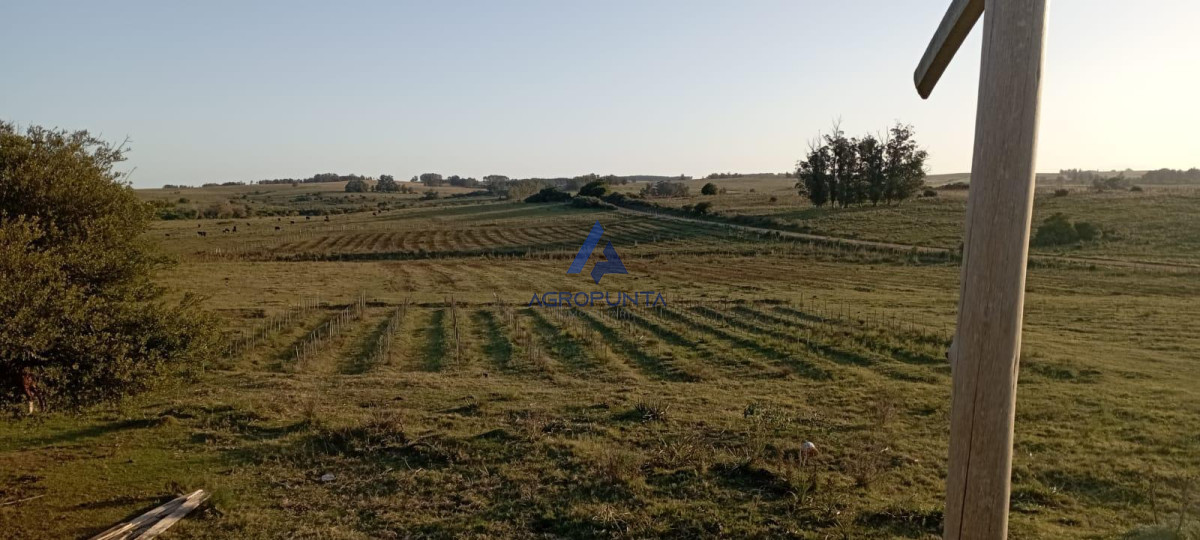 Chacra en Venta en Garzón - GoPunta - Portal Inmobiliario de Punta del Este - Maldonado
