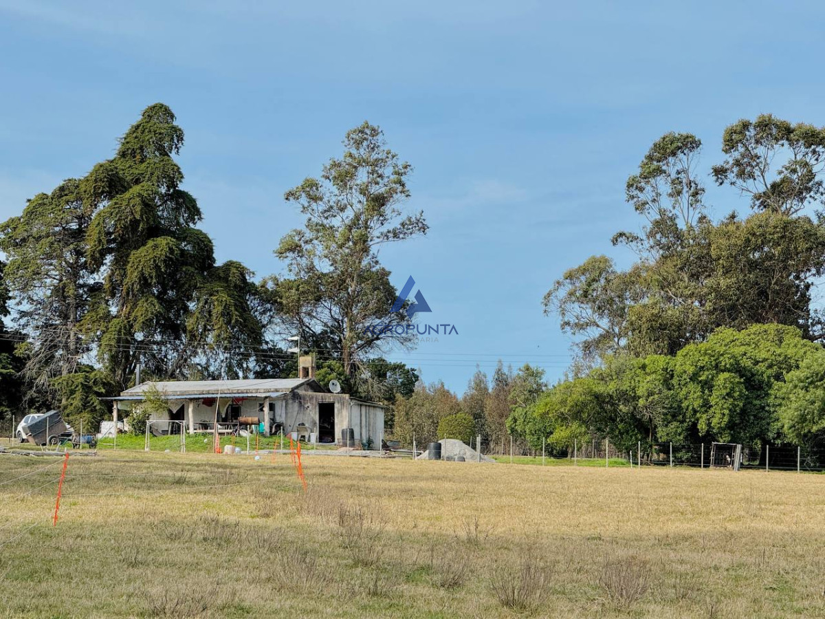 Campo en Venta 5has Sobre ruta 9 - GoPunta - Portal Inmobiliario de Punta del Este - Maldonado
