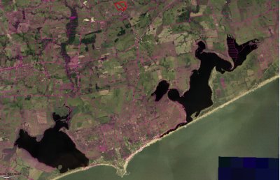 Campo a minutos de José Ignacio 