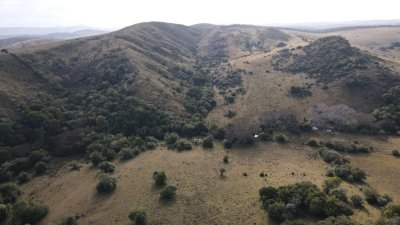 Venta Campo  92 Hectáreas Minas Lavalleja