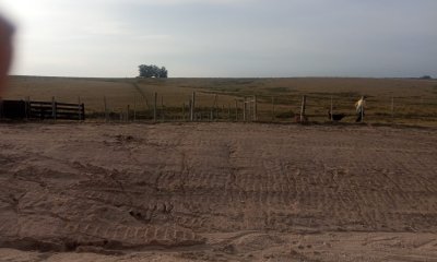 Campo en venta!