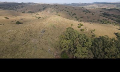 Venta Campo Fraccionamiento 92 Hectáreas Minas Lavalleja