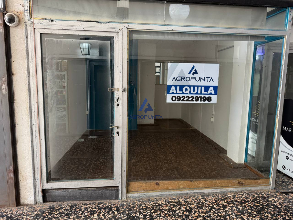Península - GoPunta - Portal Inmobiliario de Punta del Este - Maldonado