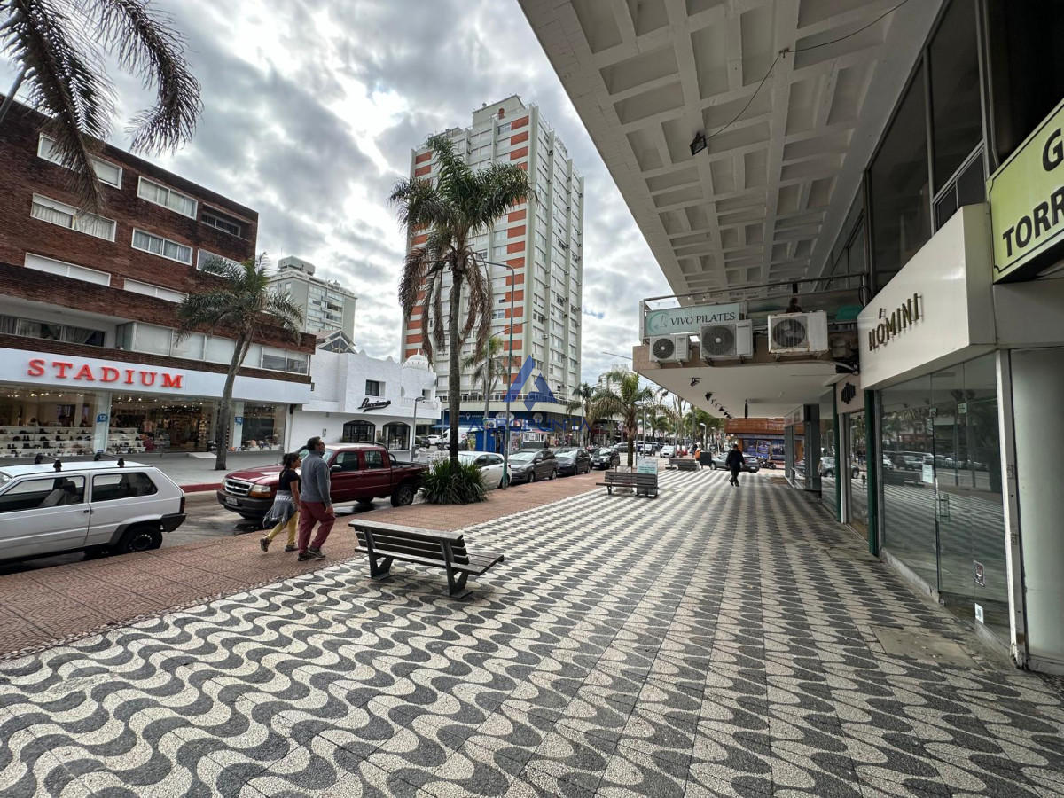 Península - GoPunta - Portal Inmobiliario de Punta del Este - Maldonado
