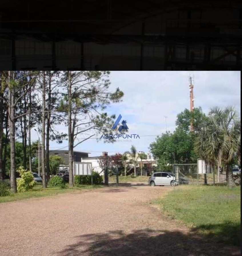 Maldonado - GoPunta - Portal Inmobiliario de Punta del Este - Maldonado