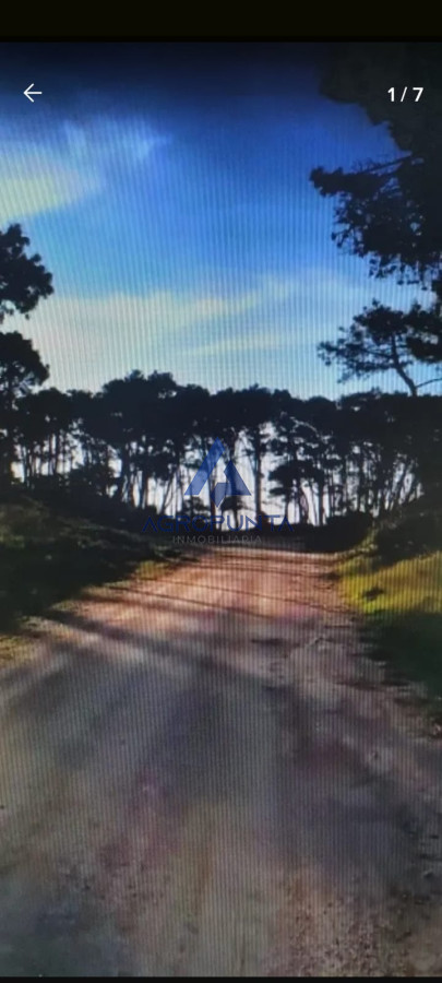 Rincón del Indio - GoPunta - Portal Inmobiliario de Punta del Este - Maldonado