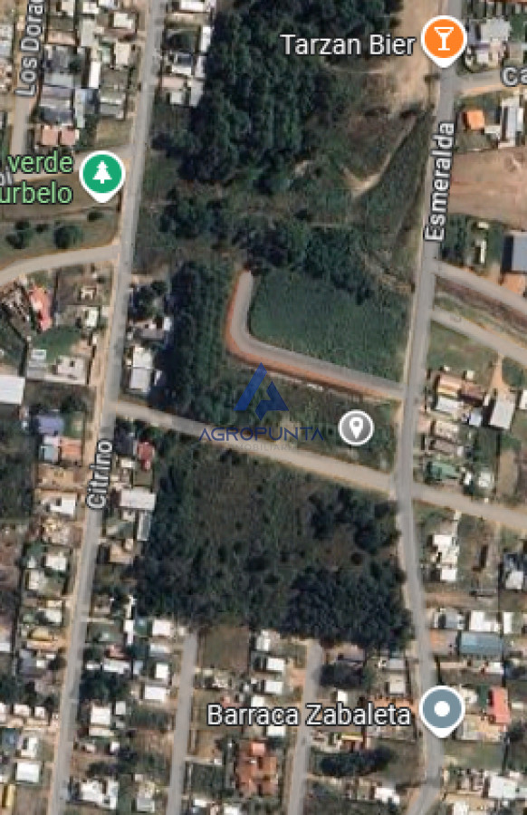 Altos de la Laguna - GoPunta - Portal Inmobiliario de Punta del Este - Maldonado