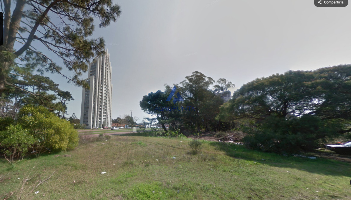 Maldonado - GoPunta - Portal Inmobiliario de Punta del Este - Maldonado
