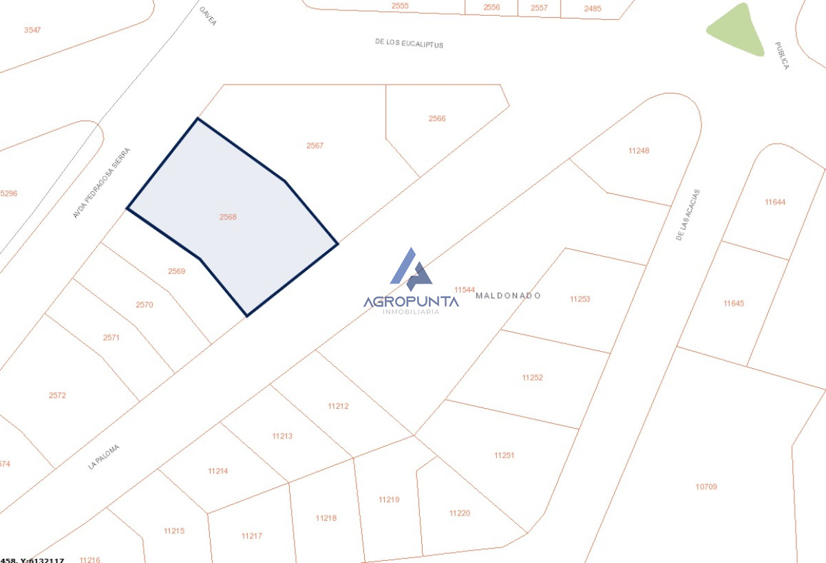 San Rafael - GoPunta - Portal Inmobiliario de Punta del Este - Maldonado
