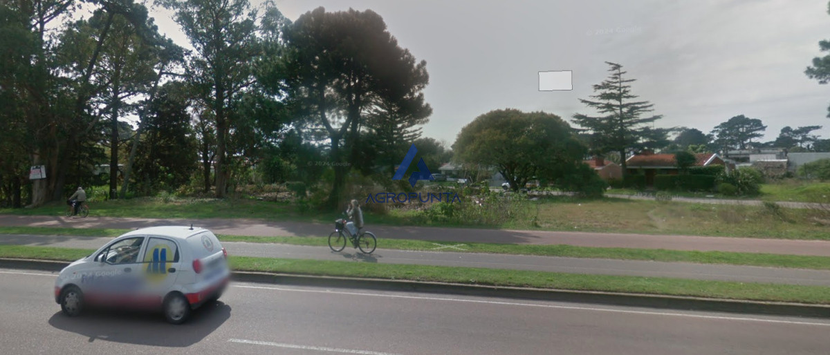 Maldonado - GoPunta - Portal Inmobiliario de Punta del Este - Maldonado