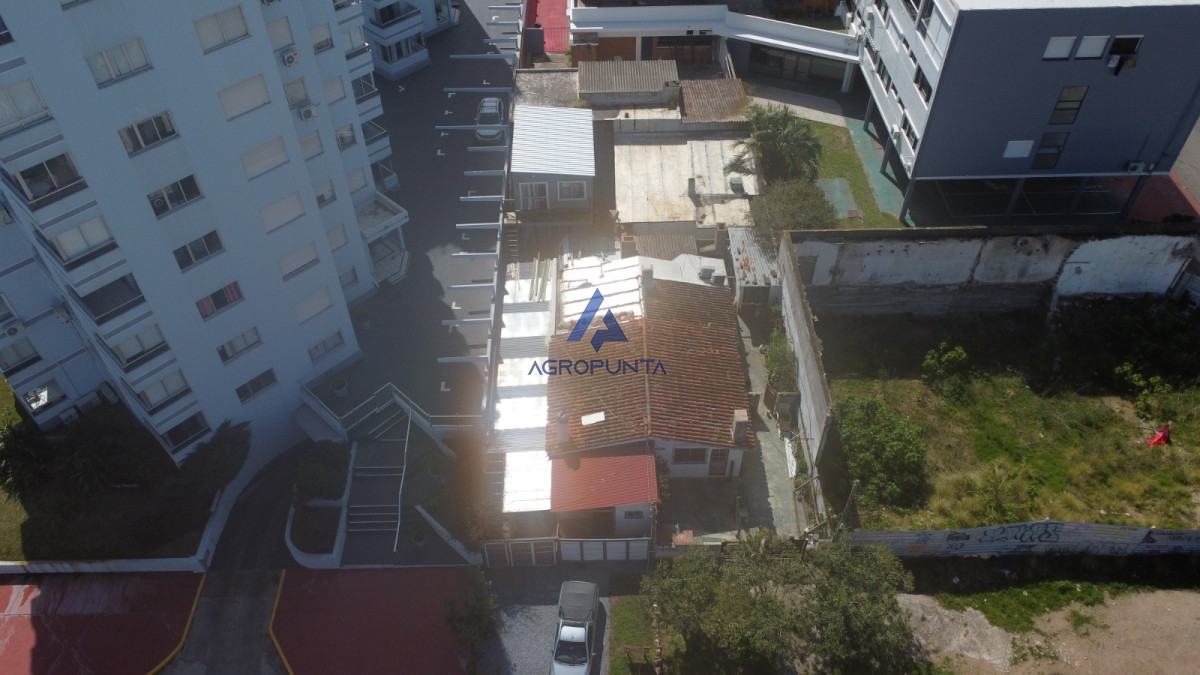 La Pastora - GoPunta - Portal Inmobiliario de Punta del Este - Maldonado