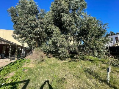 Terreno 300mts² Las Marías