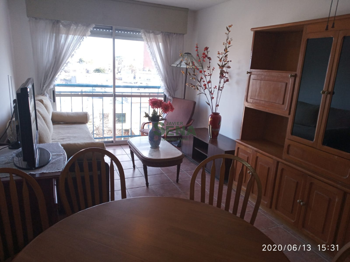 Buceo - GoPunta - Portal Inmobiliario de Punta del Este - Maldonado