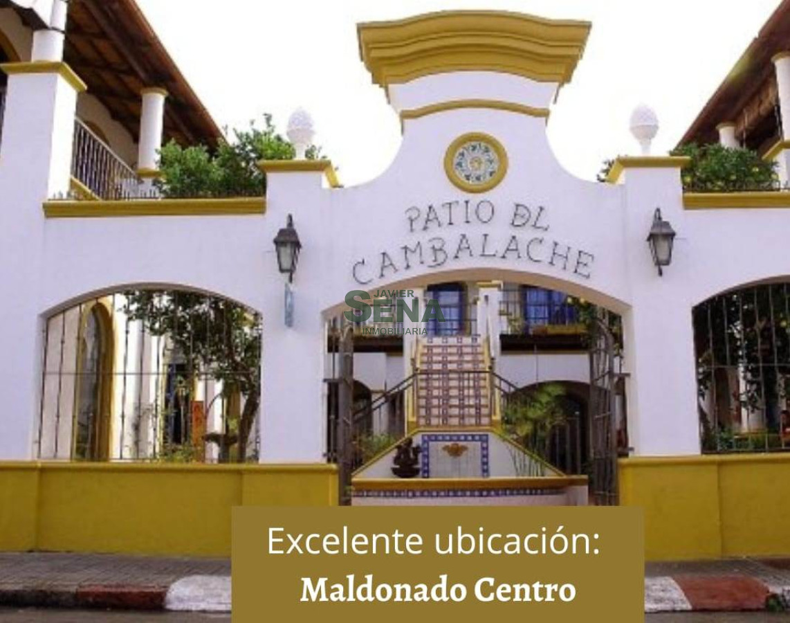 Venta 16 locales en Maldonado con patio y jardìn, muy cerca del centro. - GoPunta - Portal Inmobiliario de Punta del Este - Maldonado