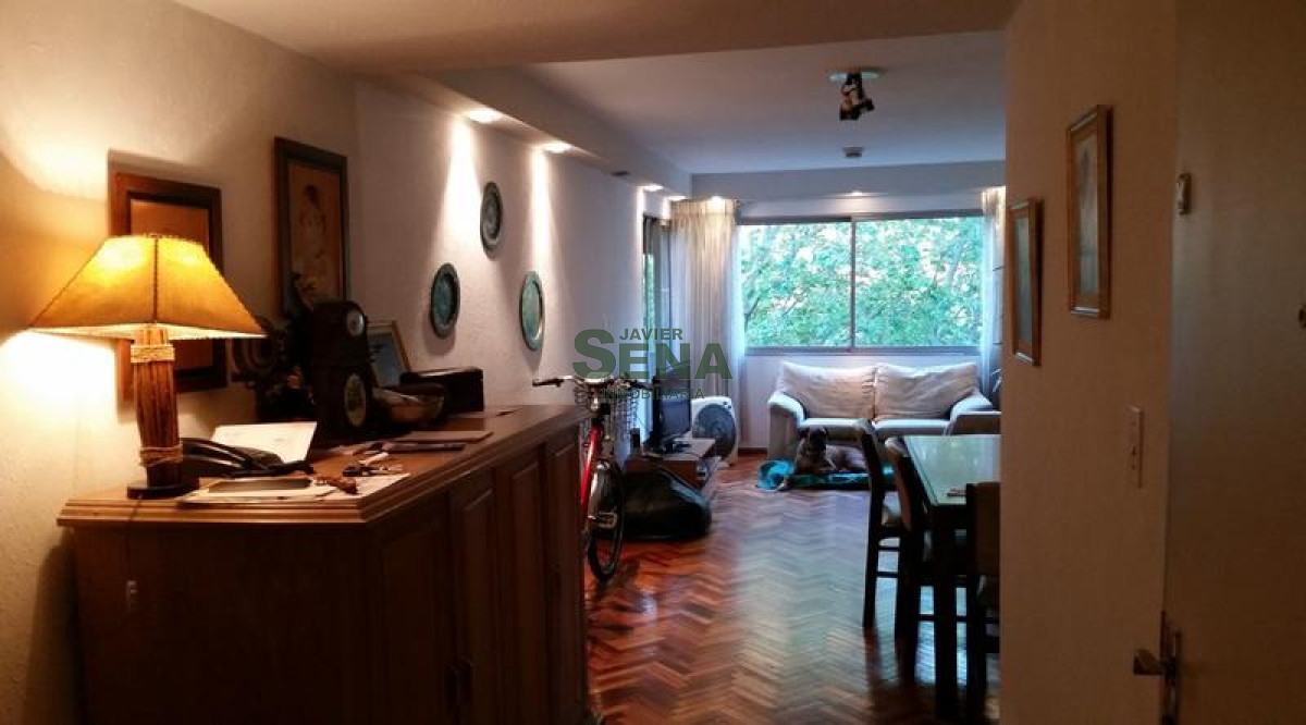 Pocitos - GoPunta - Portal Inmobiliario de Punta del Este - Maldonado