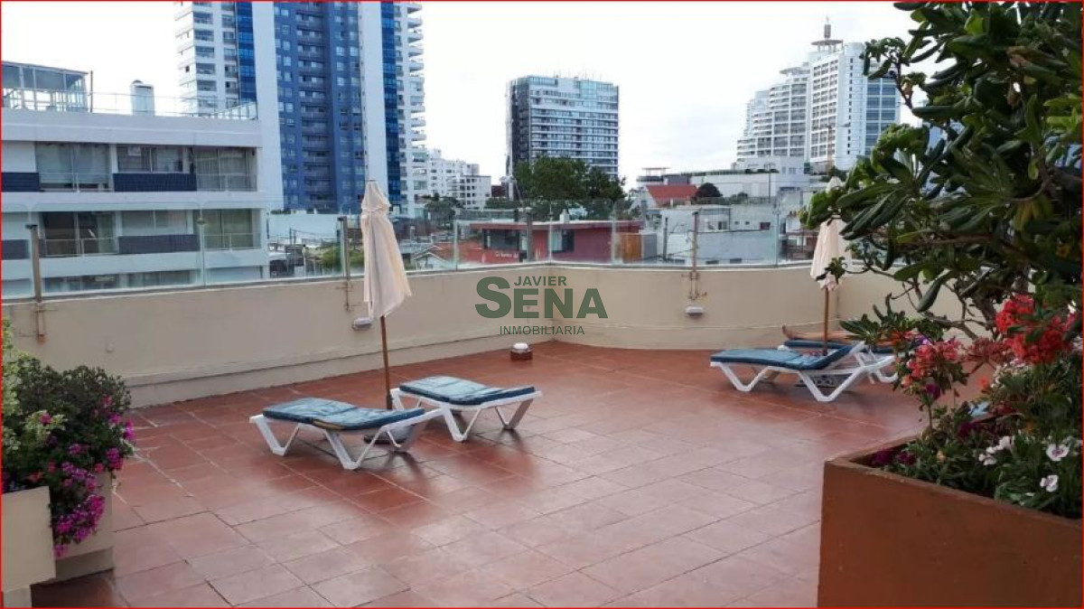Brava - GoPunta - Portal Inmobiliario de Punta del Este - Maldonado