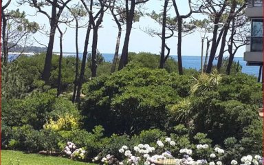 Venta y Alquiler de apartamento en la Mansa, 1 dormitorio y medio, baño con servicios.