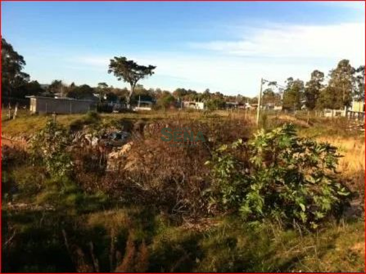 Altos de la Laguna - GoPunta - Portal Inmobiliario de Punta del Este - Maldonado