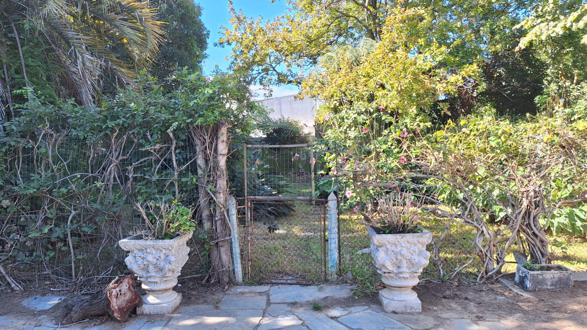 Centro Maldonado - GoPunta - Portal Inmobiliario de Punta del Este - Maldonado