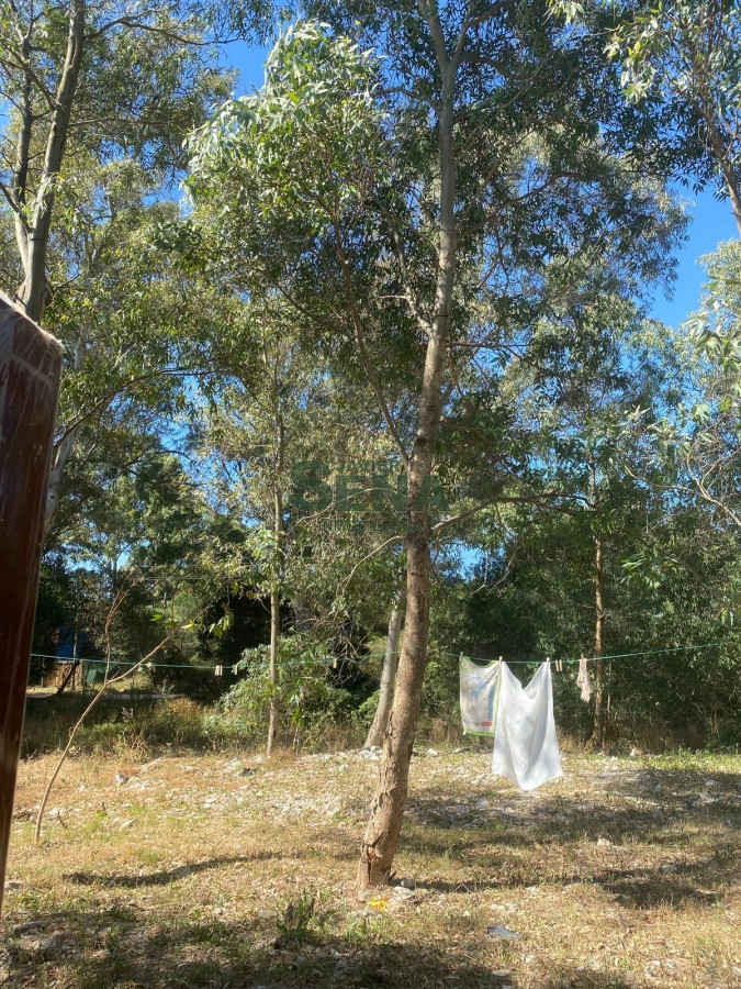Alquiler de casa en Maldonado, 2 dormitorios, 1 baño, para vivir todo el año. - GoPunta - Portal Inmobiliario de Punta del Este - Maldonado