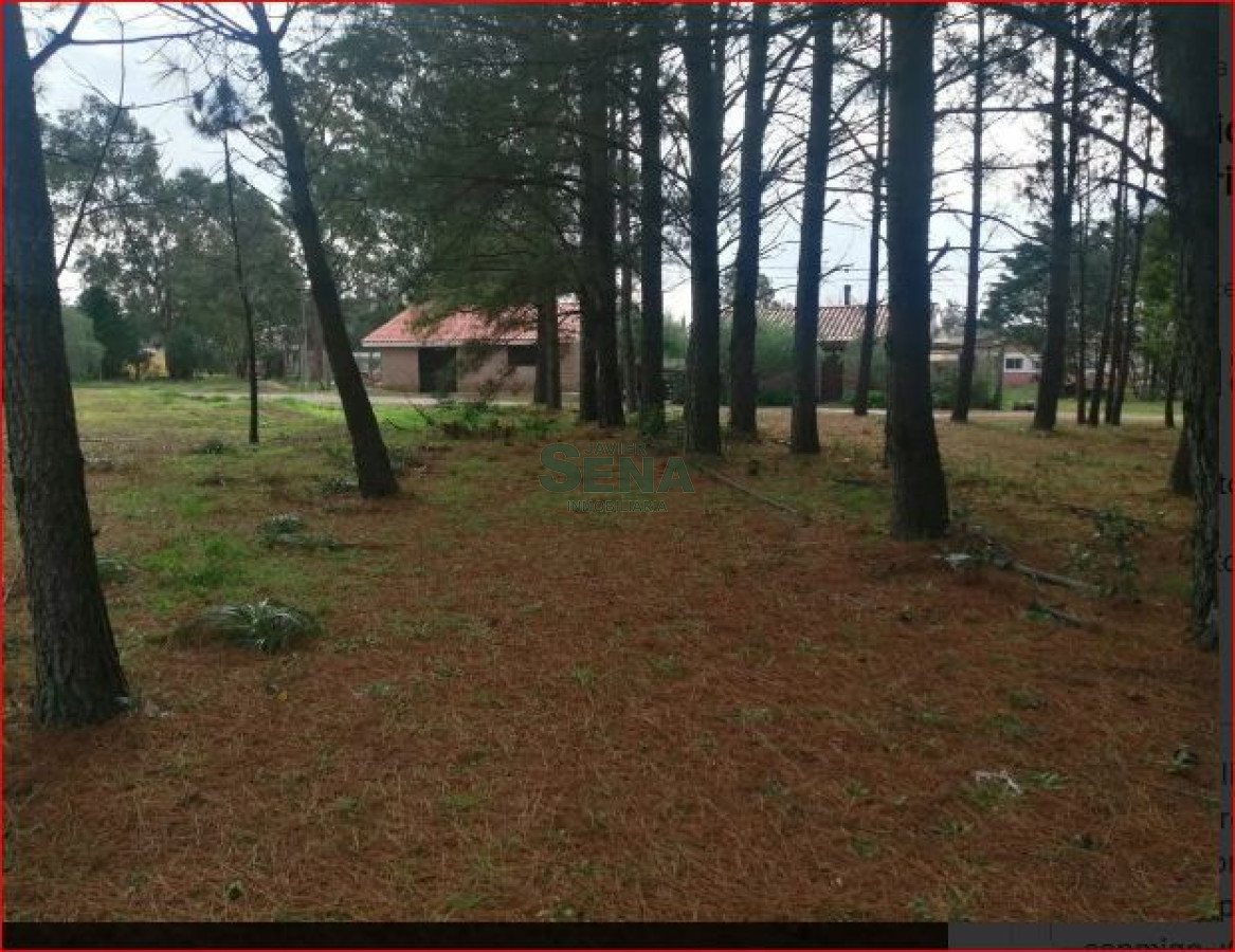 Pinares - GoPunta - Portal Inmobiliario de Punta del Este - Maldonado