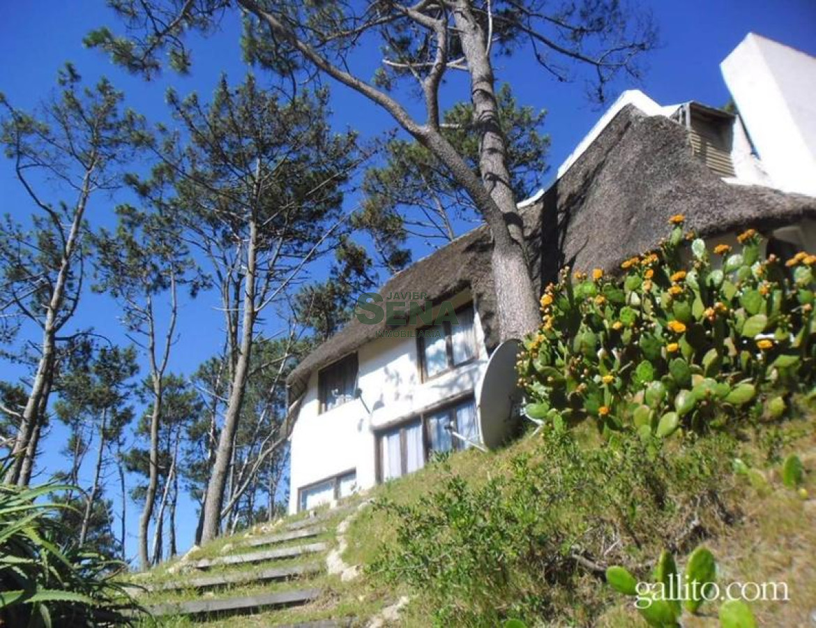 Pinares - GoPunta - Portal Inmobiliario de Punta del Este - Maldonado