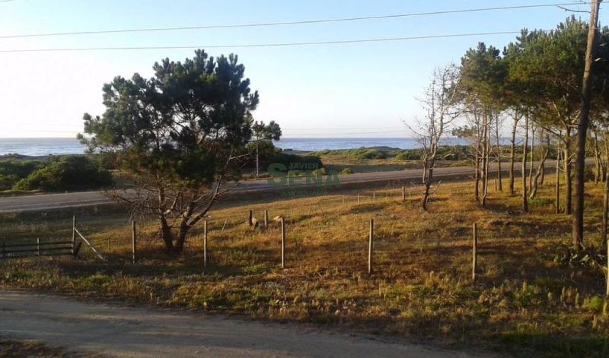 José Ignacio - GoPunta - Portal Inmobiliario de Punta del Este - Maldonado
