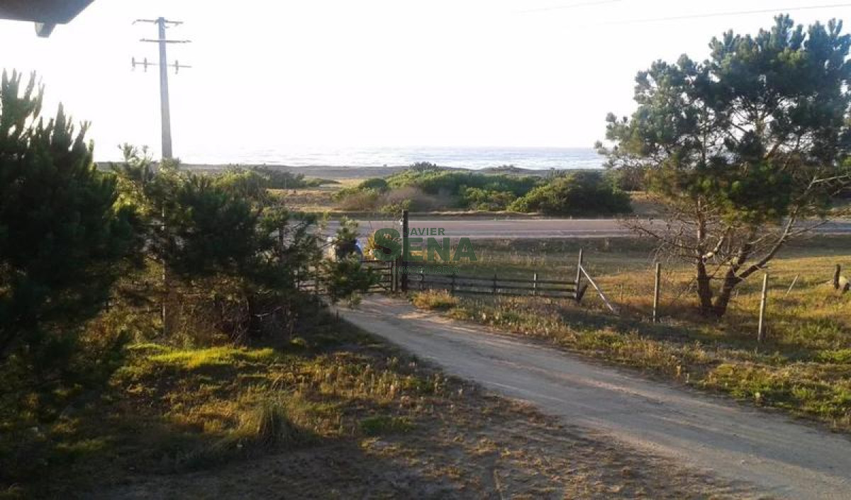 José Ignacio - GoPunta - Portal Inmobiliario de Punta del Este - Maldonado