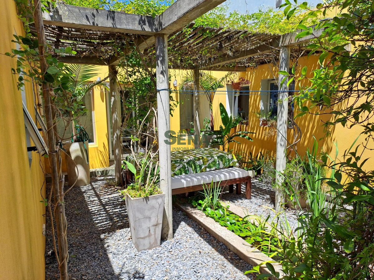 Chihuahua - GoPunta - Portal Inmobiliario de Punta del Este - Maldonado
