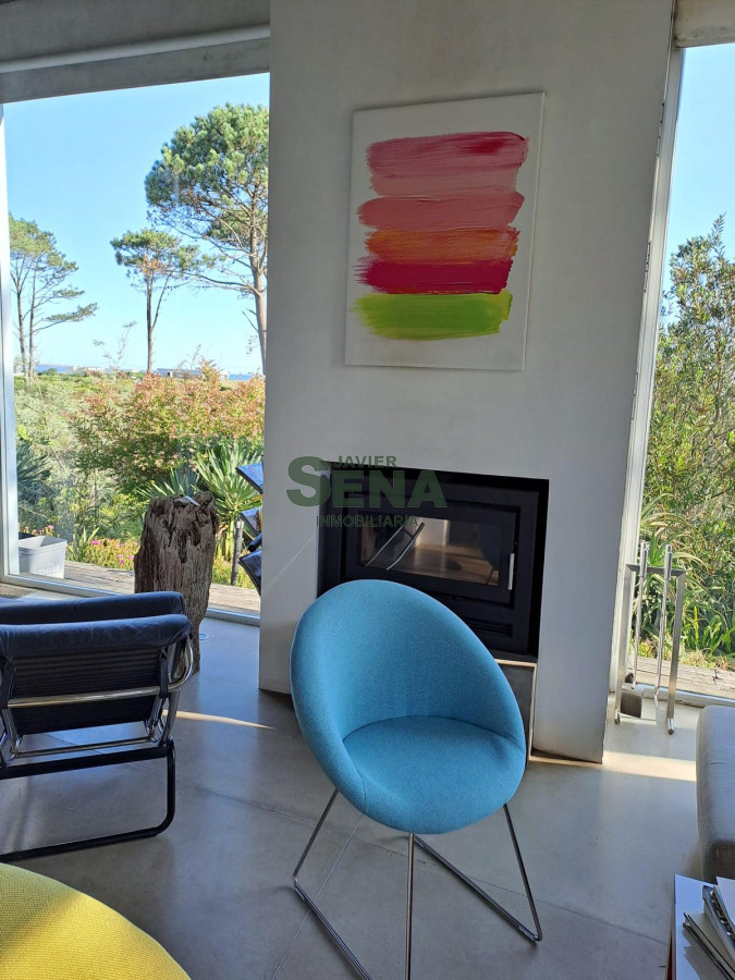 Chihuahua - GoPunta - Portal Inmobiliario de Punta del Este - Maldonado