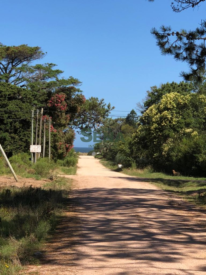 Balneario Buenos Aires - GoPunta - Portal Inmobiliario de Punta del Este - Maldonado