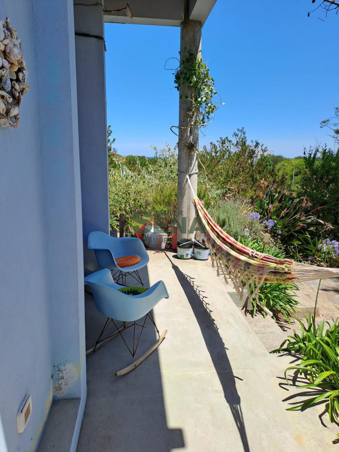 Chihuahua - GoPunta - Portal Inmobiliario de Punta del Este - Maldonado