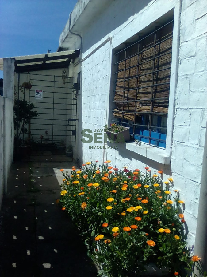 Alquiler de apartamento en zona de Maldonado, 1 dormitorio, baño, sobre importante avenida en maldonado. - GoPunta - Portal Inmobiliario de Punta del Este - Maldonado