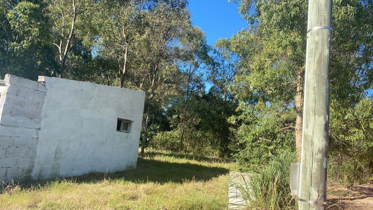 Alquiler de casa en Maldonado, 2 dormitorios, 1 baño, para vivir todo el año. - GoPunta - Portal Inmobiliario de Punta del Este - Maldonado