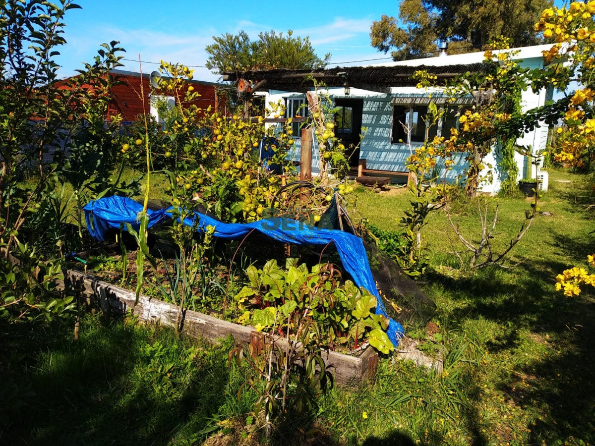 Cerros Azules - GoPunta - Portal Inmobiliario de Punta del Este - Maldonado