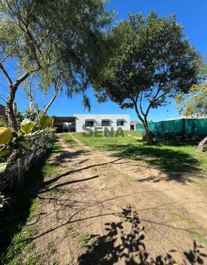 Acuario - GoPunta - Portal Inmobiliario de Punta del Este - Maldonado