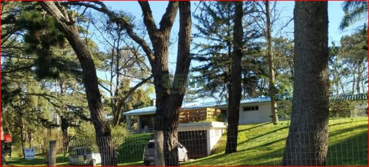 Lugano - GoPunta - Portal Inmobiliario de Punta del Este - Maldonado