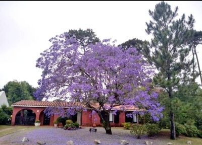 Venta de hermosa casa en pinares, 4 dormitorios, 3 baños, parque.