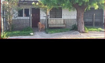 Venta de casa en las Delicias, 2 dormitorios, baño, lindo lugar para vivir todo el año.