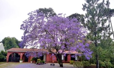 Venta de hermosa casa en pinares, 4 dormitorios, 3 baños, parque.