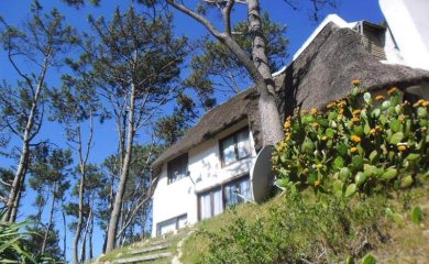 Venta y alquiler en la Mansa, casa de 4 dormitorios, parada 46 linda cabaña para descansar.