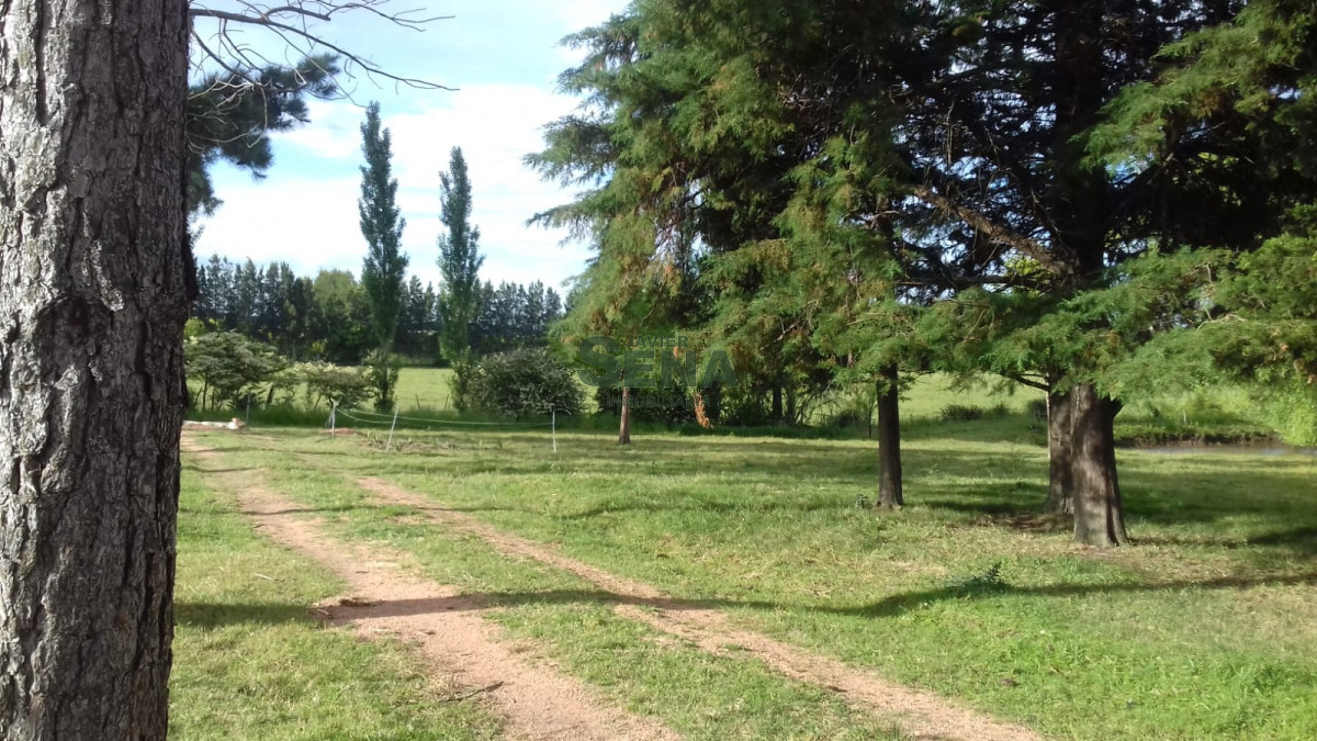 Venta de Chacra Ruta 39, a pocos kmt. de Maldonado , 8 Hectareas y media - GoPunta - Portal Inmobiliario de Punta del Este - Maldonado