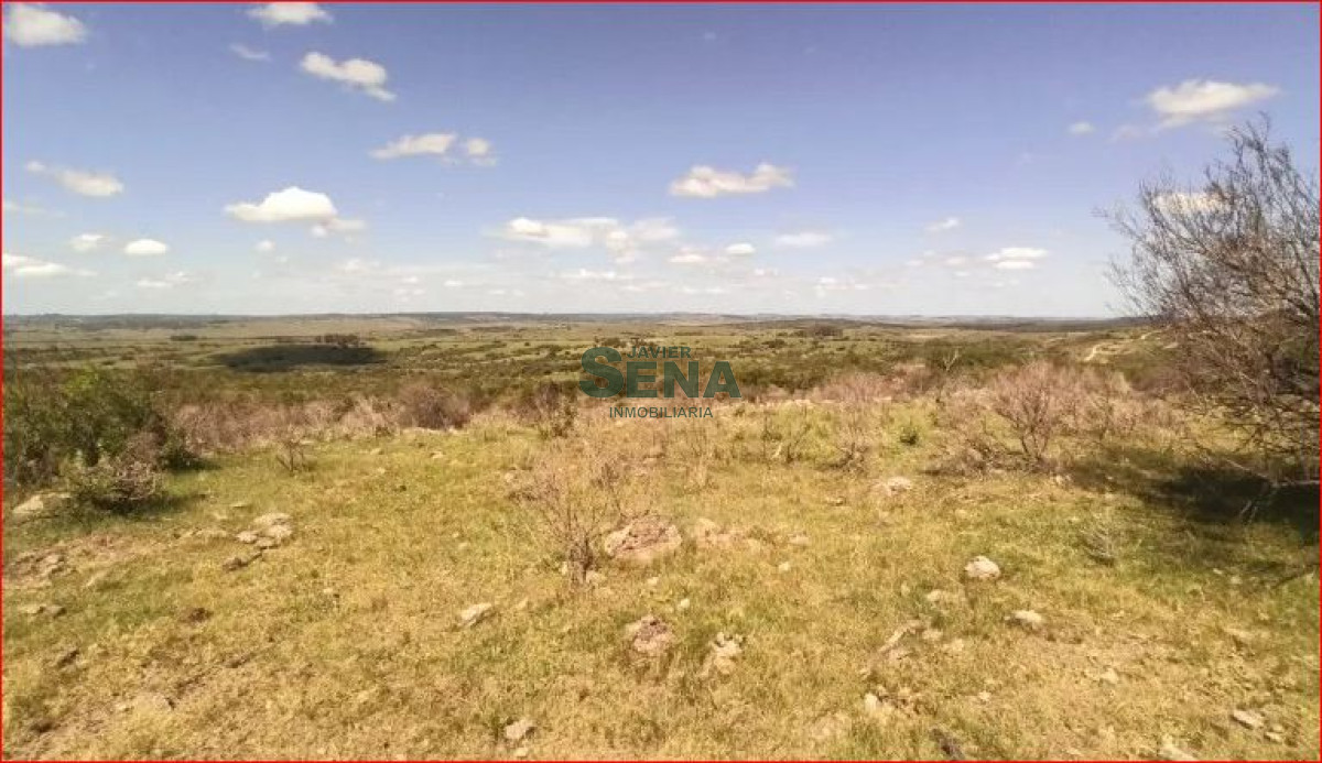 Los Talas - GoPunta - Portal Inmobiliario de Punta del Este - Maldonado