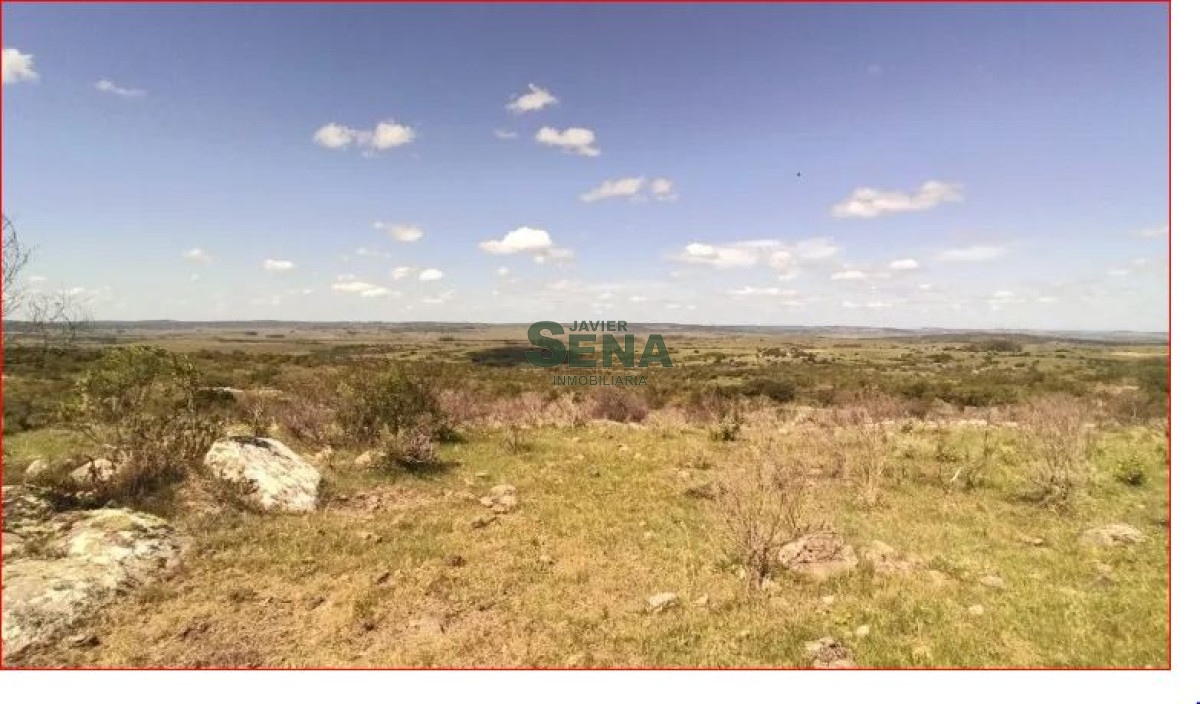Los Talas - GoPunta - Portal Inmobiliario de Punta del Este - Maldonado