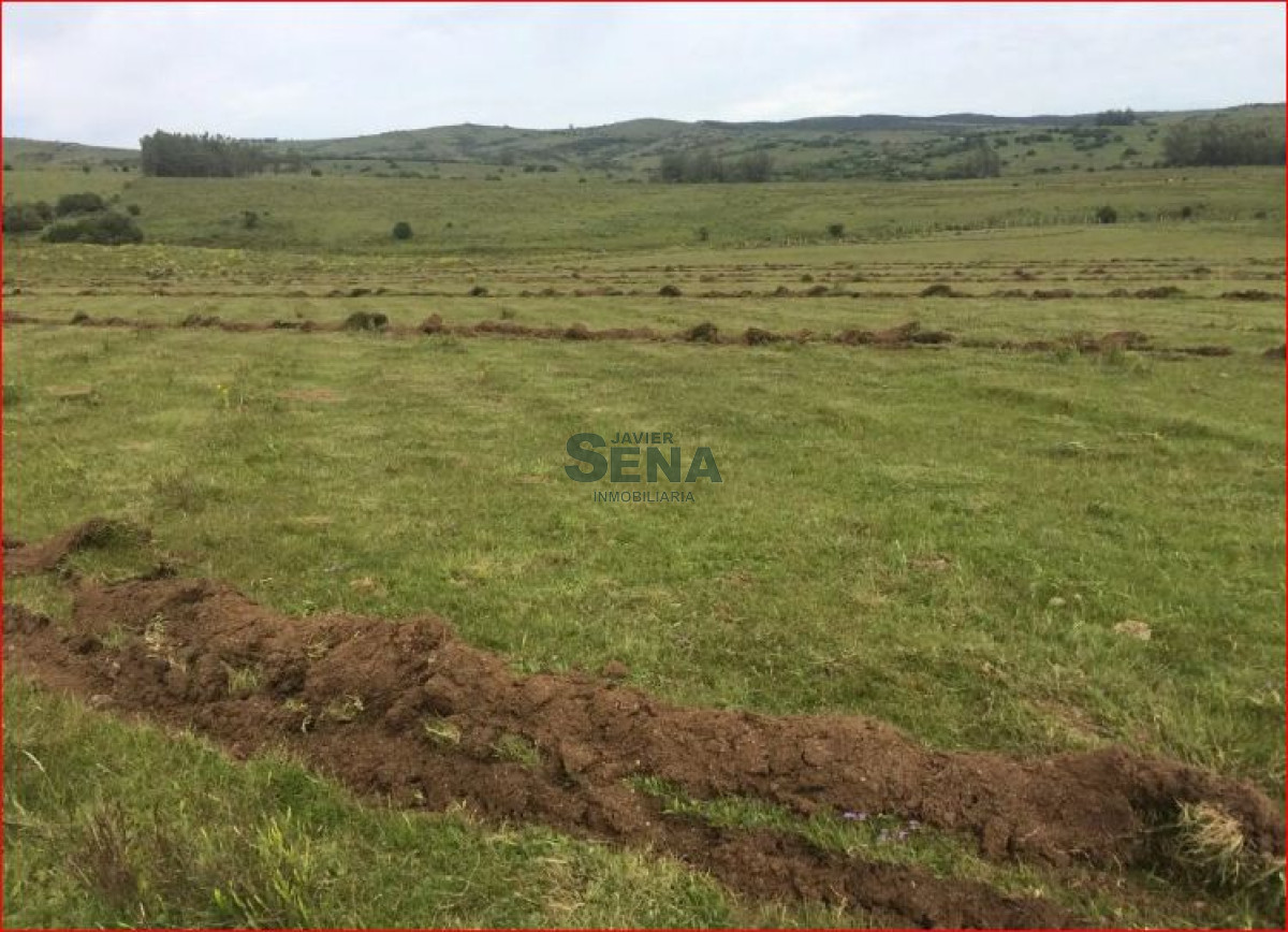 Zona Rural - GoPunta - Portal Inmobiliario de Punta del Este - Maldonado