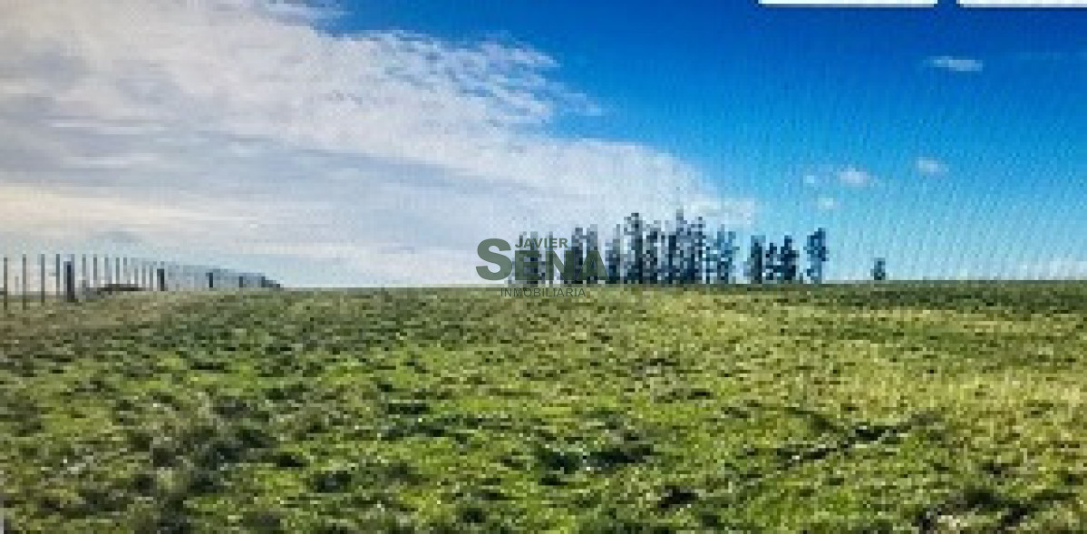 venta de chacra en san carlos