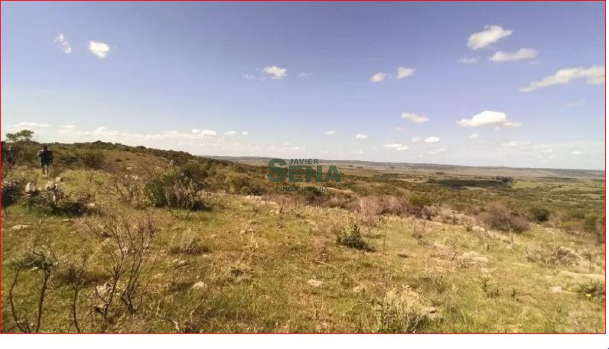 Los Talas - GoPunta - Portal Inmobiliario de Punta del Este - Maldonado