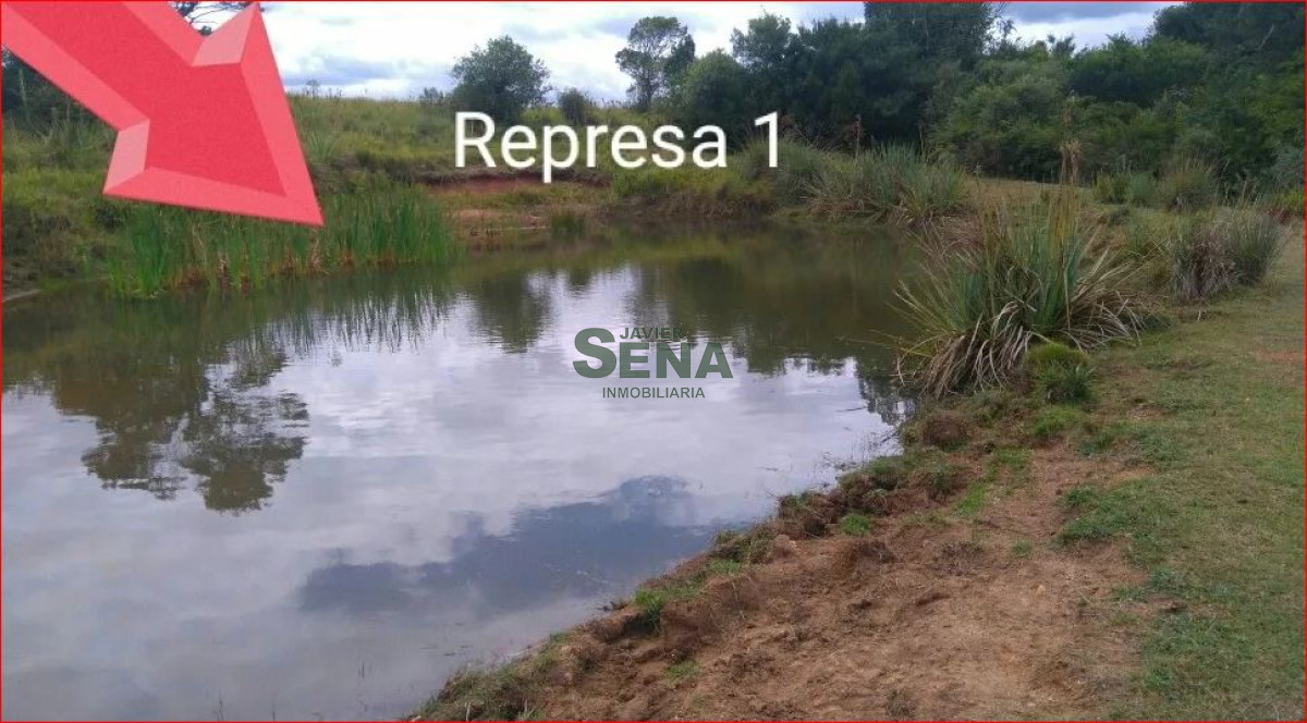 Venta de chacra en rocha, 6 hectareas.