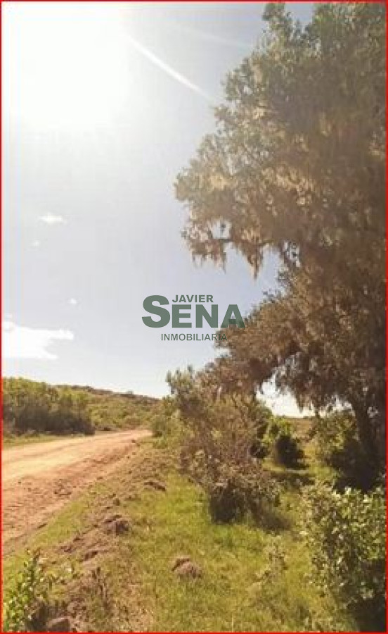 Los Talas - GoPunta - Portal Inmobiliario de Punta del Este - Maldonado