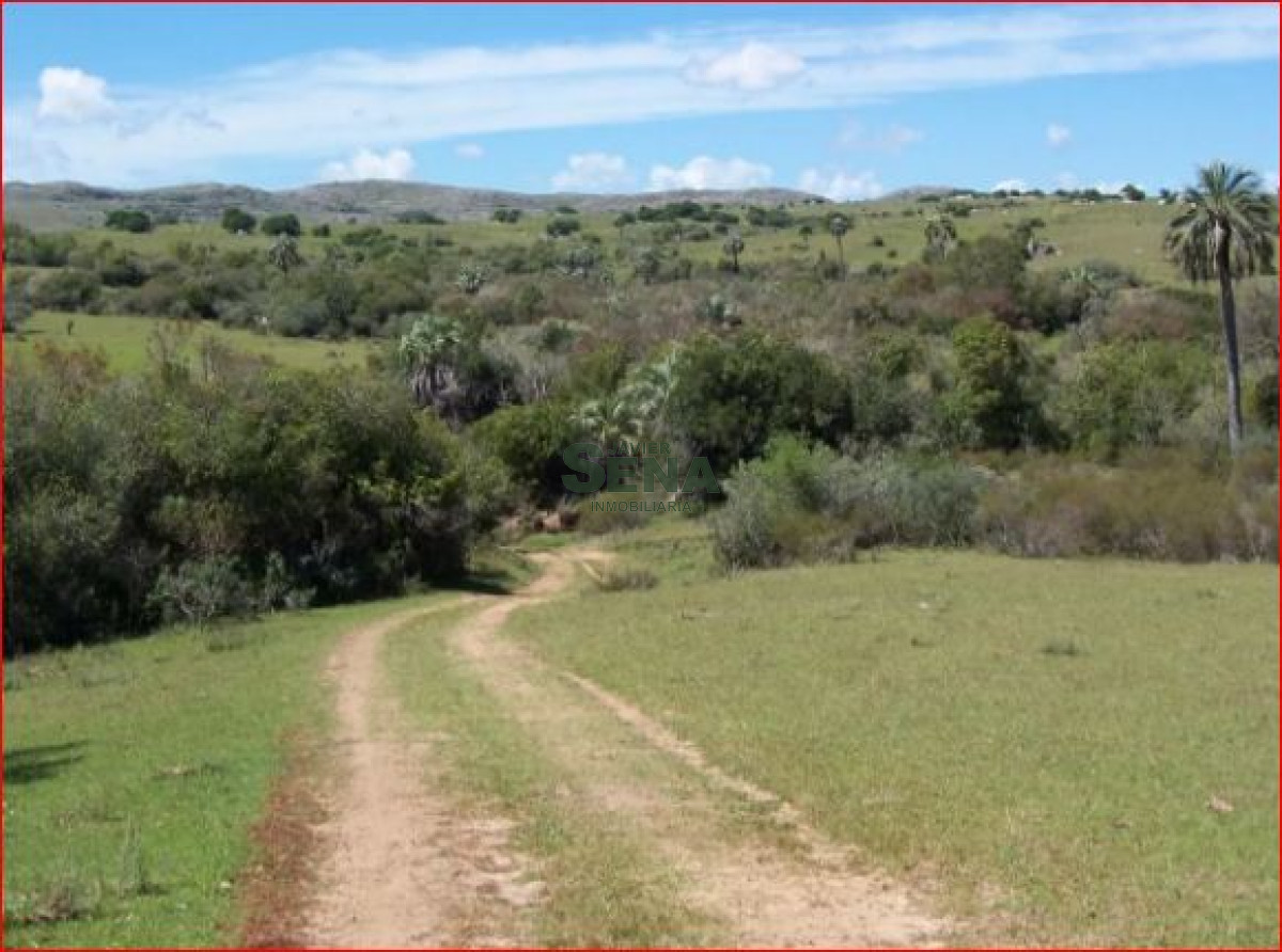 Las Cañas - GoPunta - Portal Inmobiliario de Punta del Este - Maldonado